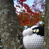 Norisuke The Amigurumi Cat Enjoys Autumn Leaves ノリスケ、紅葉を楽しむ